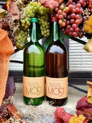 MOŠT 2o2o