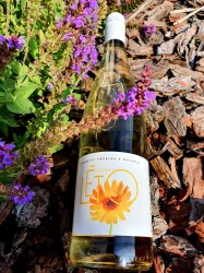 POZDNÍ LÉTO - CUVÉE PINOT GRIS / SAUVIGNON