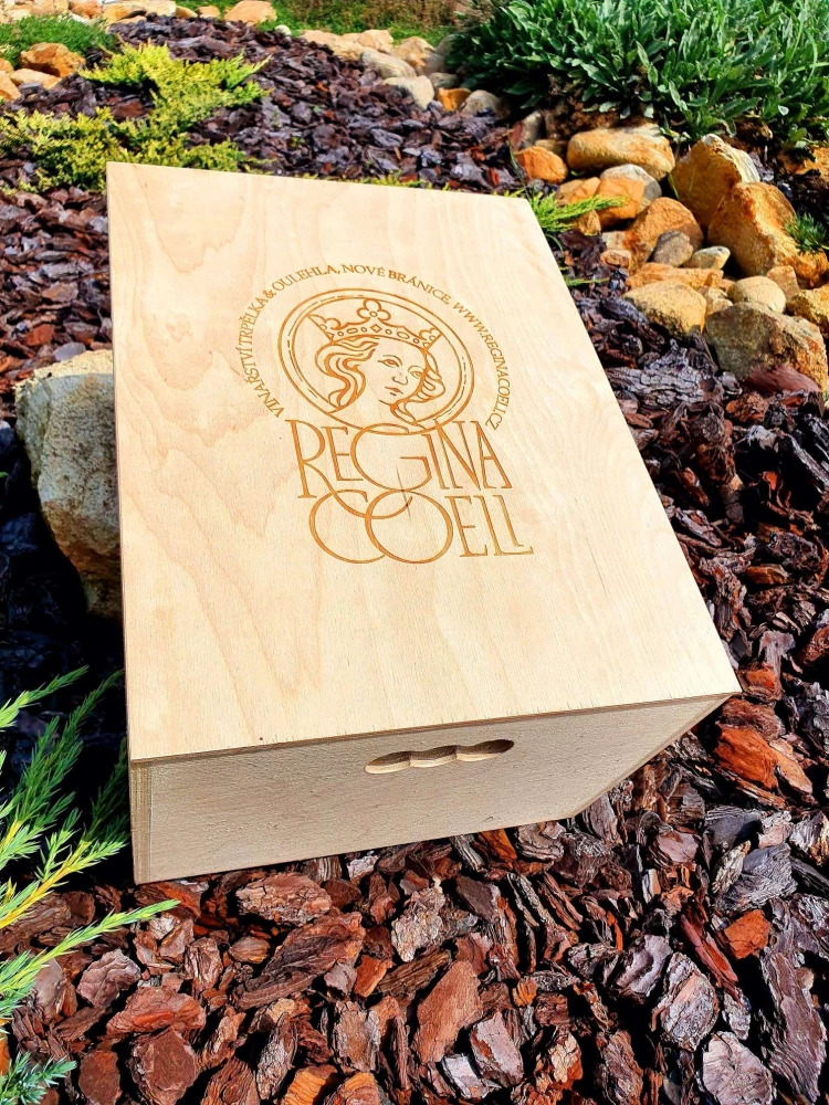 Dárková dřevěná bedna na 6 lahví