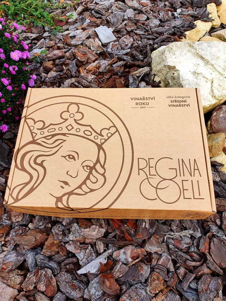 Dárková krabice na 6 lahví - kazeta