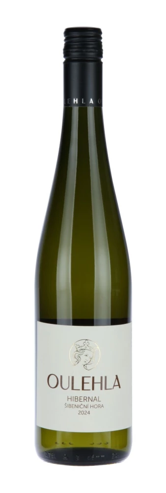 Hibernal 2025 Šibeniční hora