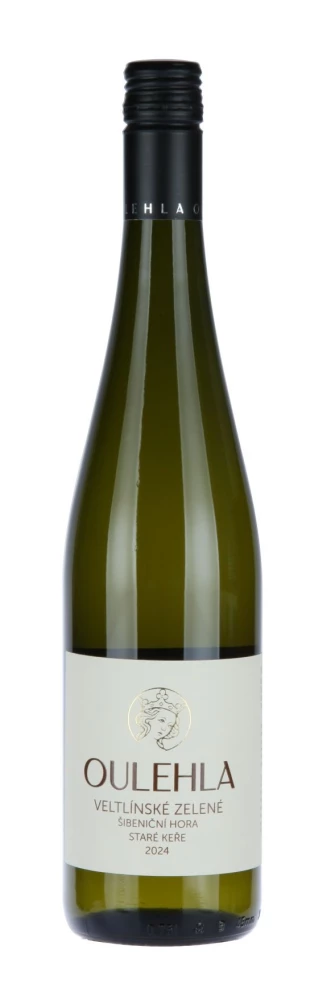 Veltlínské zelené 2024 staré keře Šibeniční hora