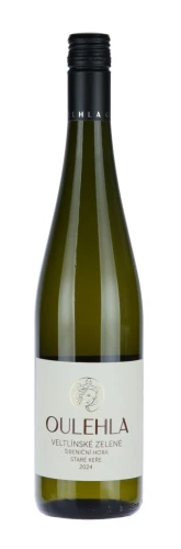 Veltlínské zelené 2024 staré keře Šibeniční hora